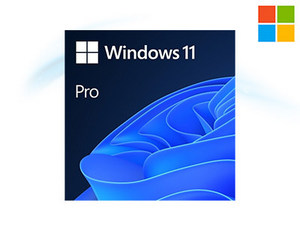 Microsoft Windows 11 Professional 64-bit Eng