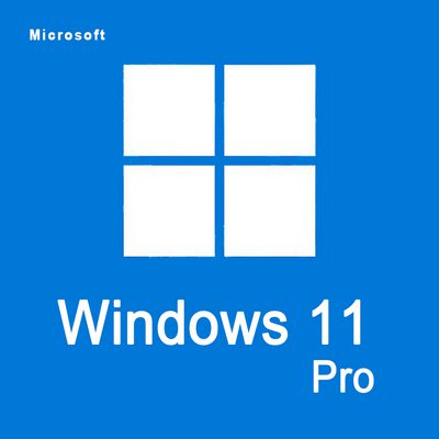 windows_11 pro